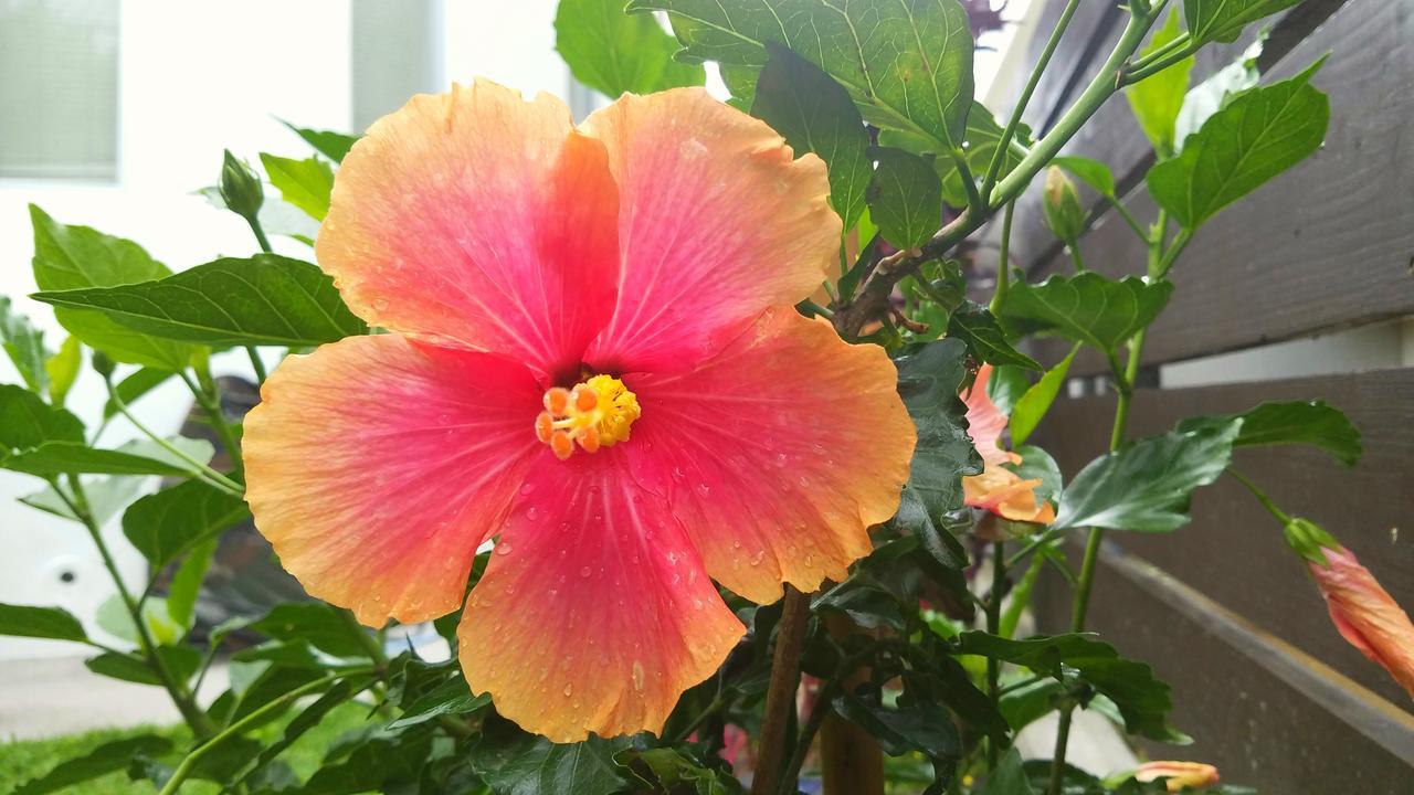 Mihama Beach House Villa ชาตัน ภายนอก รูปภาพ